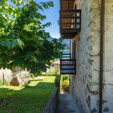 Glicine By Interhome Stazzona